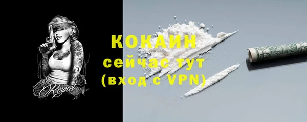 крисы Михайловск