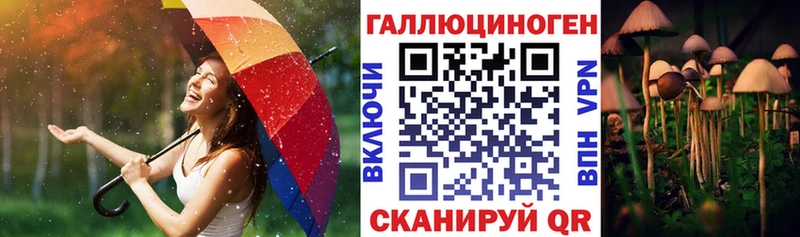 hydra tor Рыбное Галлюциногенные грибы Cubensis цена наркотик